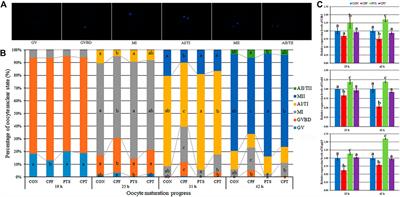 Pterostilbene Alleviates Chlorpyrifos-Induced Damage During Porcine Oocyte Maturation